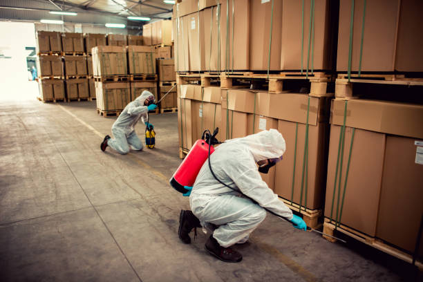 Best Affordable Pest Control Services  in Shiner, TX