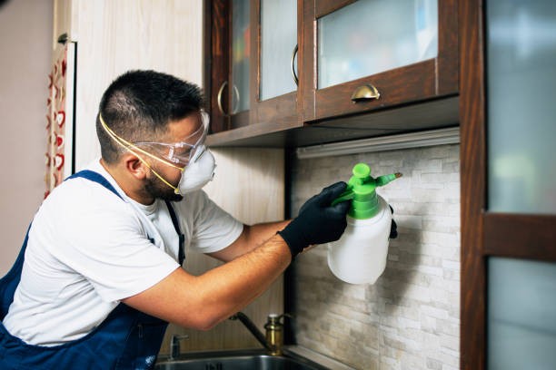 Pest Control for Restaurants in Shiner, TX