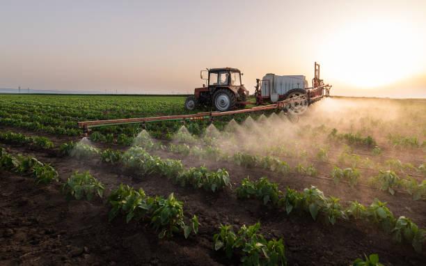 Best Commercial Pest Control Services  in Shiner, TX