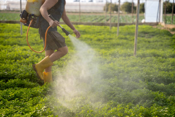 Reliable Shiner, TX Pest Control Solutions