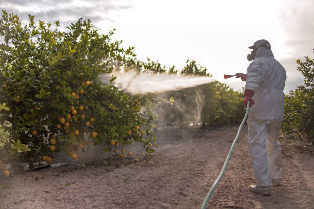Best Residential Pest Control  in Shiner, TX