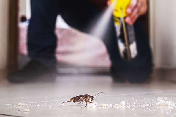 Best Wildlife Control Services  in Shiner, TX