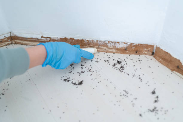 Pest Control Cost in Shiner, TX